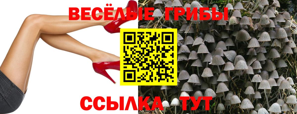 Псилоцибиновые грибы Cubensis Нефтеюганск